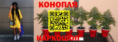 прущая мука Пугачёв