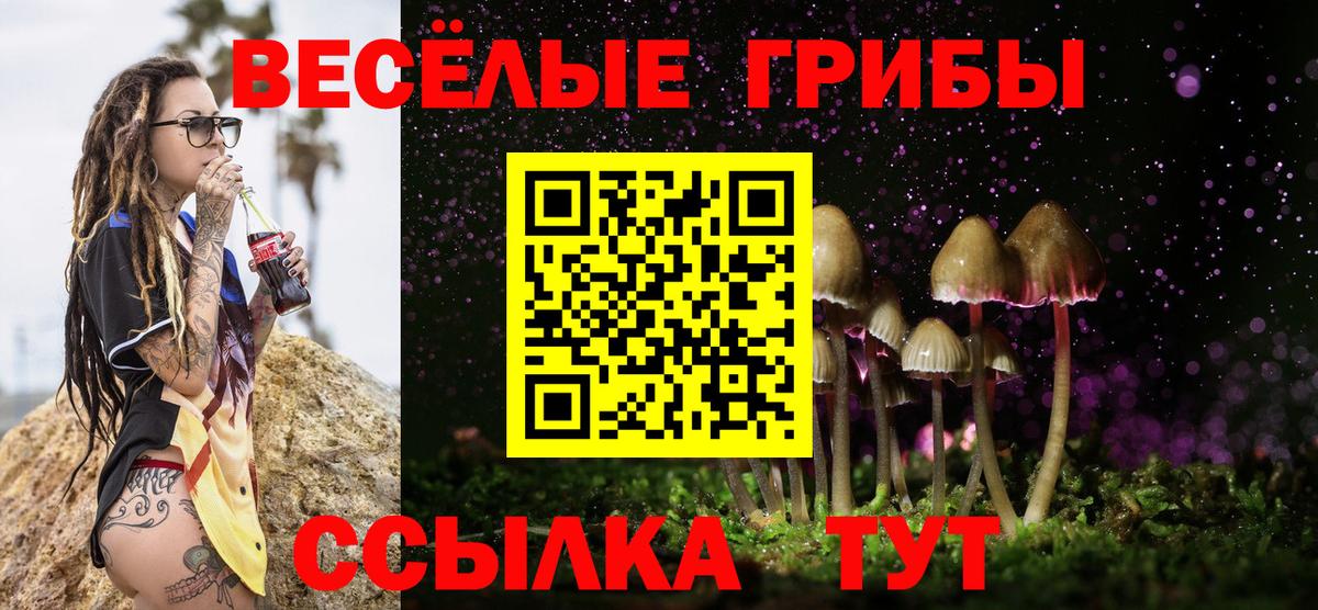 Сатка  Псилоцибиновые грибы Psilocybine cubensis  купить наркотик  Вход с VPN 